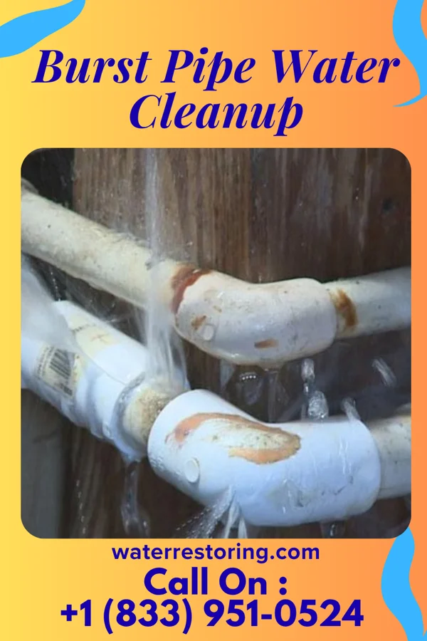 Burst Pipe Water Cleanup in Christiana, PA