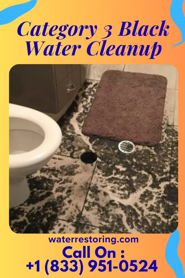 Category 3 Black Water Cleanup in Christiana, PA